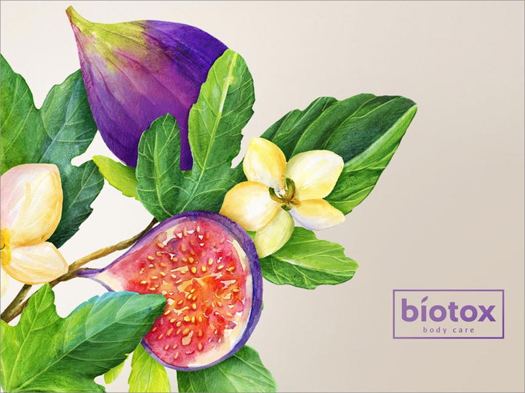 俄羅斯Biotox身體護(hù)理產(chǎn)品包裝設(shè)計(jì)之無(wú)花果插畫設(shè)計(jì)