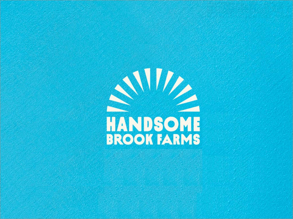 美國布魯克農場雞蛋品牌logo設計