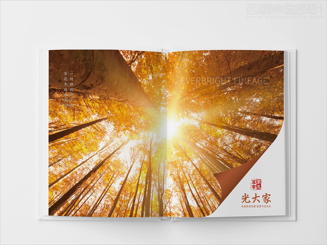 中國光大集團(tuán)畫冊設(shè)計之畫冊內(nèi)頁設(shè)計