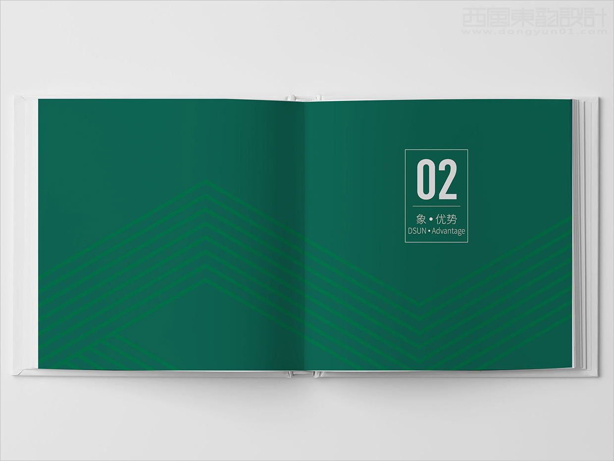 山東日照大象房屋建設公司畫冊設計之優勢版塊形象頁設計